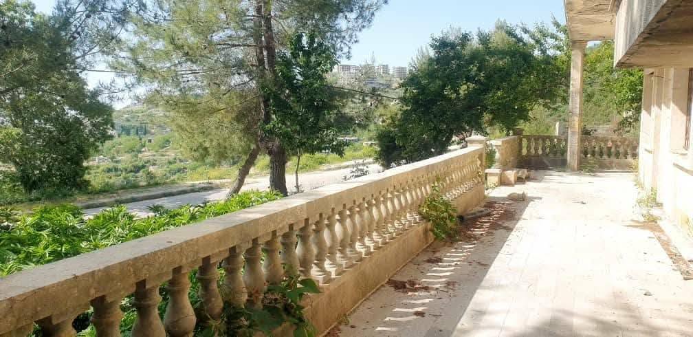 فيلة منطقـــــــــــــه ..مصيـــــــــــــف صلنفـــــــــــــه